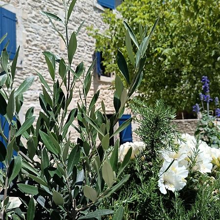 Namaste Home, Votre Havre De Paix A St Remy ! Parking Wifi Inclus Сен-Реми-де-Прованс Экстерьер фото