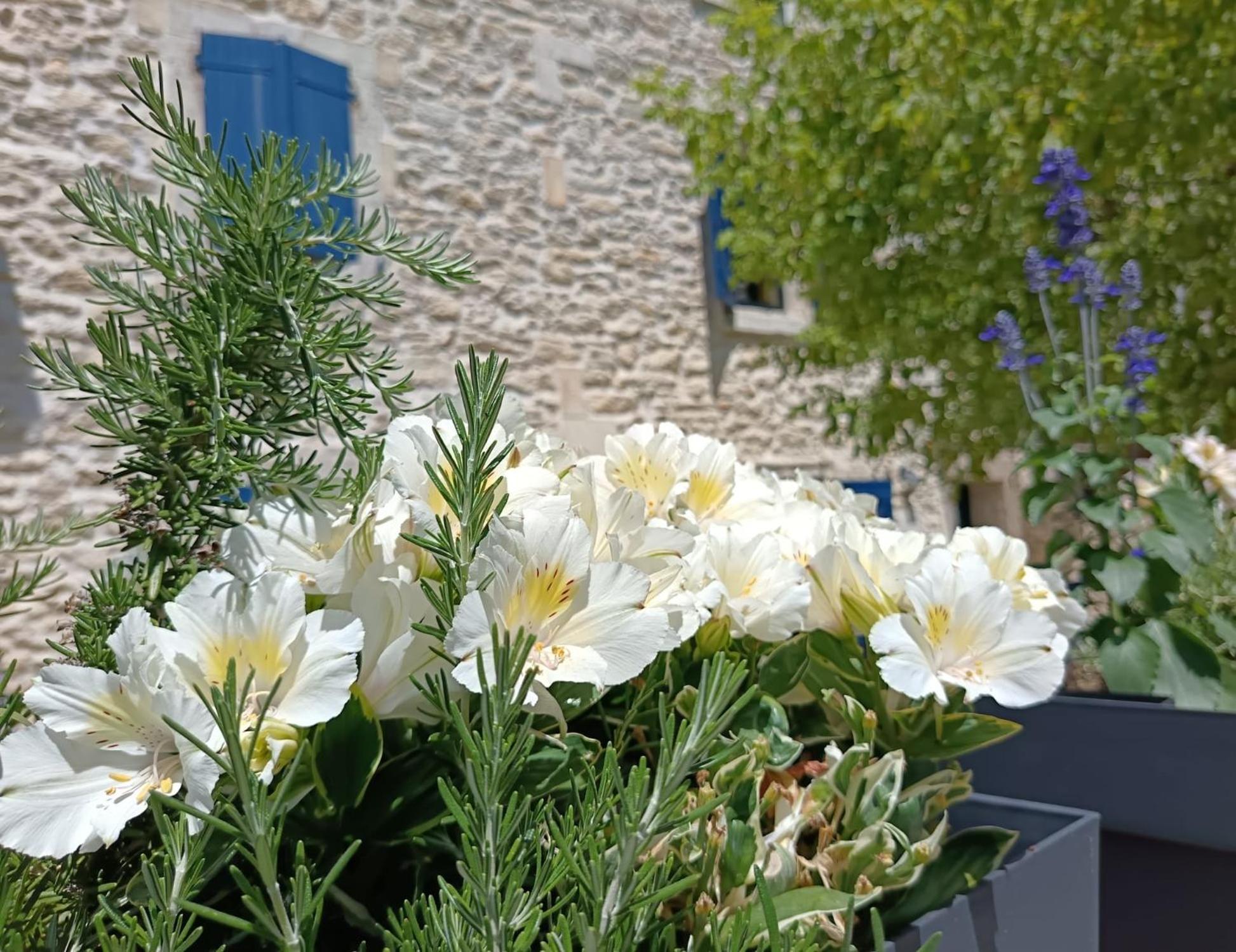 Namaste Home, Votre Havre De Paix A St Remy ! Parking Wifi Inclus Сен-Реми-де-Прованс Экстерьер фото
